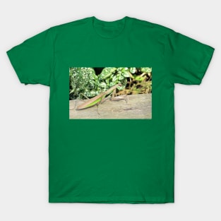 Praying Mantis No.2 T-Shirt